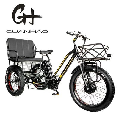 ダウンチューブ 48V 750W 17AH リチウムバッテリー 45KM/H バファング フロントモーター 電動乗用車 三輪車