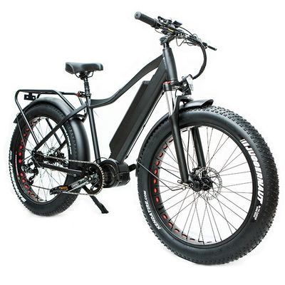 米国市場 EN15194 CPSC 48V 1000W 17AH バファングの中間モーター付き電気マウンテンバイク