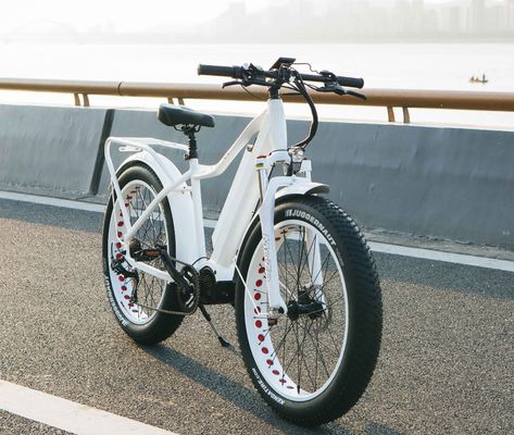 米国市場 EN15194 CPSC 48V 1000W 17AH バファングの中間モーター付き電気マウンテンバイク