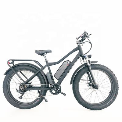 48V 1000W 17AH 50KM/H USA OEM カスタマイズされた脂肪タイヤ 貨物用電気山地自転車