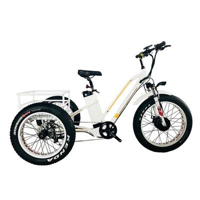 48V 14AH 後ろバスケット 4.0 スノータイヤ 電気貨物三輪車