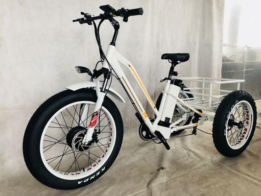 48V 14AH 後ろバスケット 4.0 スノータイヤ 電気貨物三輪車