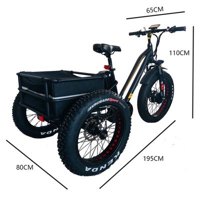 48V 14AH 後ろバスケット 4.0 スノータイヤ 電気貨物三輪車