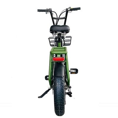 20&quot; 48V 34AH リチウムバッテリー 1000W 50KM/H アルミフレーム 7スピード 貨物 電動 双電池ハイブリッド 脂肪雪タイヤ 4.0 自転車