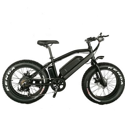 20インチ アルミ合金フレームボーイ ミニ 48V 4.0 USA CE 750W キッド マウンテン電動自転車
