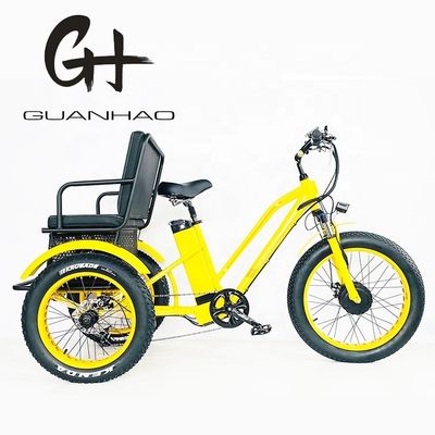 24インチスノーファットタイヤ4.0 48V 750Wモーターとバックシートを持つ電気リクシャ三輪車