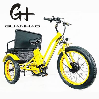 24インチスノーファットタイヤ4.0 48V 750Wモーターとバックシートを持つ電気リクシャ三輪車
