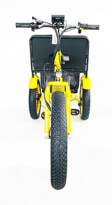 24インチスノーファットタイヤ4.0 48V 750Wモーターとバックシートを持つ電気リクシャ三輪車