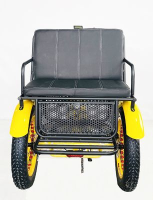 24インチスノーファットタイヤ4.0 48V 750Wモーターとバックシートを持つ電気リクシャ三輪車