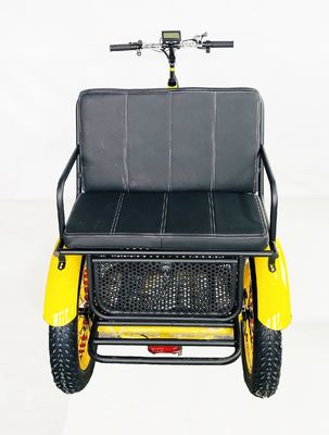 24インチスノーファットタイヤ4.0 48V 750Wモーターとバックシートを持つ電気リクシャ三輪車