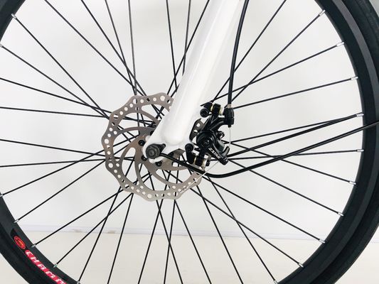 28インチ シティバイク 36V250W リチウムバッテリー 14AH EN15194 EN15194 女性用 レディ アメリカ ヨーロッパ
