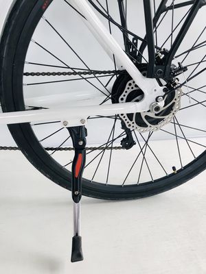 アメリカ合衆国 USD390 500W 48V 14AH 電動 レディース自転車 7 スピードギアとLCDディスプレイ