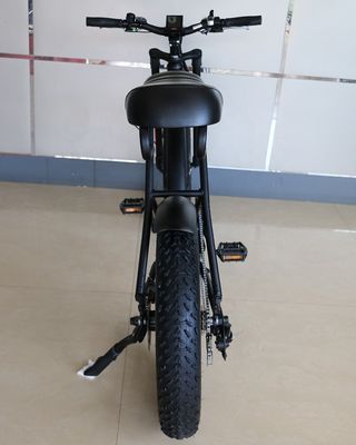 20&quot;*4.0 電動マウンテンバイク 48V1000W 17AH リチウムビッグタイヤ スノーバイク 速度 50KM/H