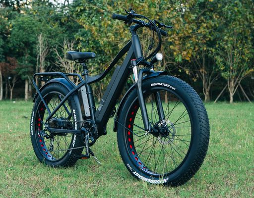 最良の1000W電動ファットタイヤ自転車 26インチ電動自転車 17Ahバッテリー