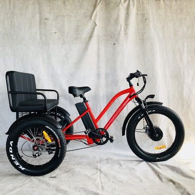 米国市場 BAFANG センサー 電動三輪車 三輪車と水力ディスクブレーキ