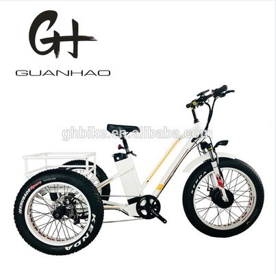 米国市場 BAFANG センサー 電動三輪車 三輪車と水力ディスクブレーキ