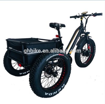 米国市場 BAFANG センサー 電動三輪車 三輪車と水力ディスクブレーキ