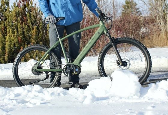 36V 350W EN15194 2007 10.41AH リチウム電池とPASのシングルスピード電動自転車