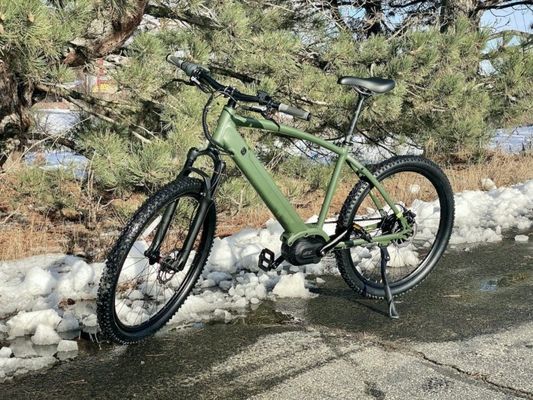 36V 350W EN15194 2007 10.41AH リチウム電池とPASのシングルスピード電動自転車