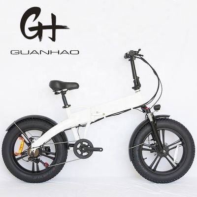 20インチホイールサイズ 500W EN15194 折りたたむ式ファットタイヤ 電気自転車 ブラックフライデーオファー