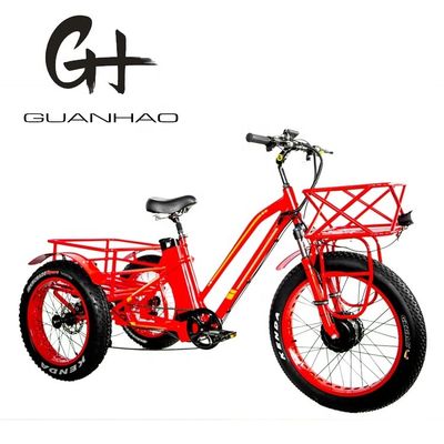 48V 750W フロントモーター 24&quot; アダルト電気三輪車 17AH リチウムバッテリーと脂肪雪タイヤ