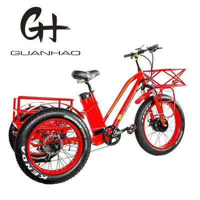 48V 750W フロントモーター 24&quot; アダルト電気三輪車 17AH リチウムバッテリーと脂肪雪タイヤ