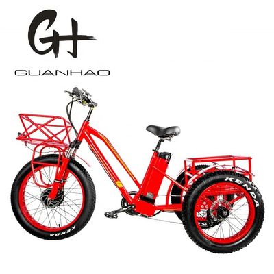 48V 750W フロントモーター 24&quot; アダルト電気三輪車 17AH リチウムバッテリーと脂肪雪タイヤ
