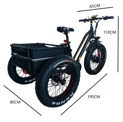 48V 750W フロントモーター 24&quot; アダルト電気三輪車 17AH リチウムバッテリーと脂肪雪タイヤ