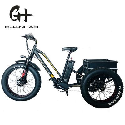 オープンボディタイプ 24インチ 20インチ BAFANG フロントモーター 大人のための電気三輪車 48V21AH 750W
