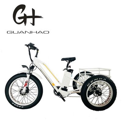 オープンボディタイプ 24インチ 20インチ BAFANG フロントモーター 大人のための電気三輪車 48V21AH 750W
