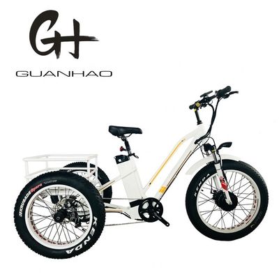 48V21AH バッテリー CE アメリカ市場 750W 8FUN フロントモーター 24-20インチ 3輪 脂肪タイヤ 電動リックスhaw