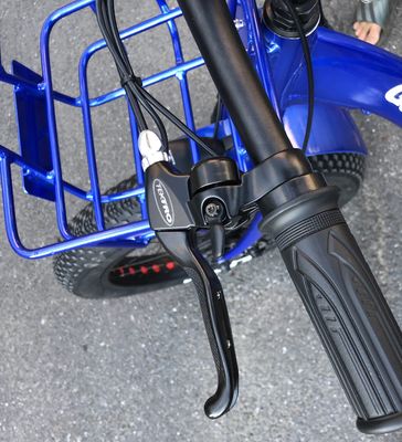 48V 1000w モーター付きの電動型電動 24&quot;x4.0 脂肪タイヤ電動貨物三輪車