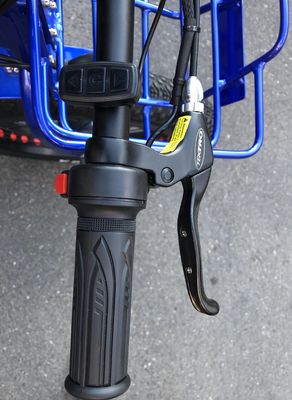48V 1000w モーター付きの電動型電動 24&quot;x4.0 脂肪タイヤ電動貨物三輪車
