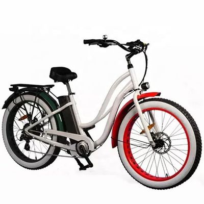 26インチ 女性フレーム 17AH リチウムバッテリー 1000W 電動貨物 48V 電動都市自転車