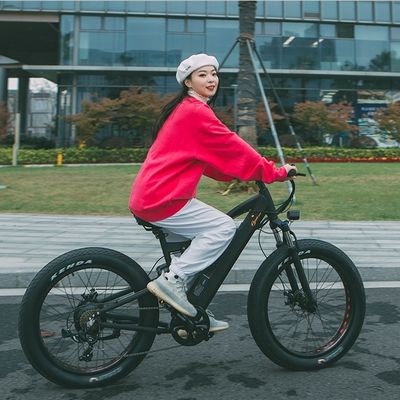 750Wバファングモーター電動マウンテンバイク シマヌ7速ギアとC 3.0タイヤ