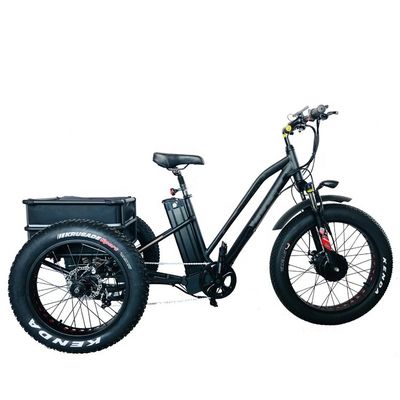大電源 48V 13AH 750W 45KM/H UL2849 バファング フロントモーター 電動脂肪タイヤ 三輪車 20