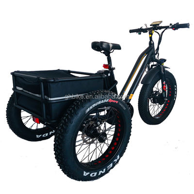 アメリカ 24&quot;20&quot; 電動バファング 8fun 750W 48V 17a 大人 3輪貨物エバイク 電動三輪車