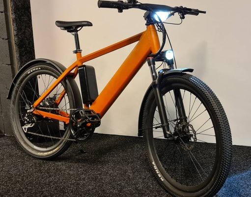 1000W 48V 14AH 隠された電池 隠されたE-MTB LCDディスプレイ 電動マウンテンバイク