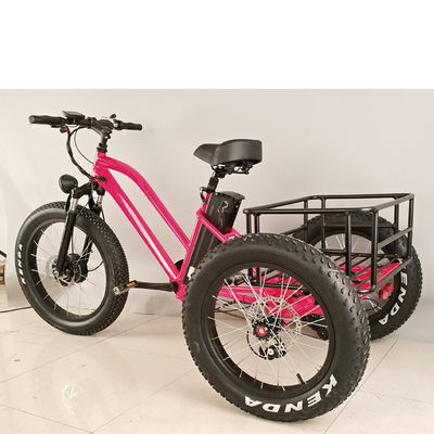 500W 貨物 成人用 3 輪電動自転車 脂肪 アルミ フレーム と EN71 証明書