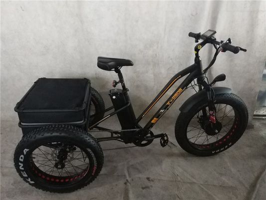 高齢者向け 350W の電動三輪自転車で 街を動き回る