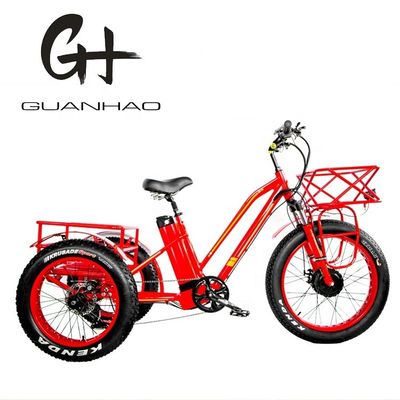 オープンボディタイプ 24インチ 20インチ BAFANG フロントモーター 大人のための電気三輪車 48V21AH 750W