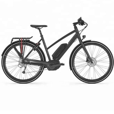 36V 250W 17Ah 中型電動モーター ユニセックス シティ 電動自転車 スマートライダー