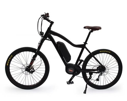 36V 250W 17Ah 中型電動モーター ユニセックス シティ 電動自転車 スマートライダー