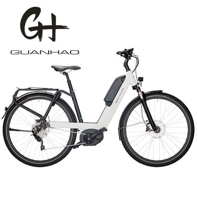 36V 250W 17Ah 中型電動モーター ユニセックス シティ 電動自転車 スマートライダー