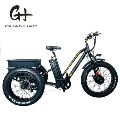 750W フロントモーター4.0 タイヤ スノー EN15194 貨物 電動貨物 三輪車 ディスクブレーキ付き