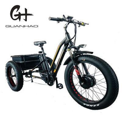 750W フロントモーター4.0 タイヤ スノー EN15194 貨物 電動貨物 三輪車 ディスクブレーキ付き