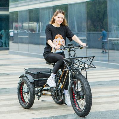 750W フロントモーター4.0 タイヤ スノー EN15194 貨物 電動貨物 三輪車 ディスクブレーキ付き