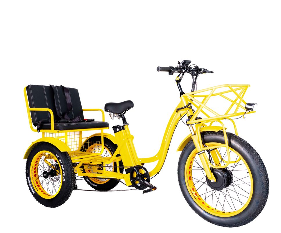 電動リクショ 750W フロント バファング モーター 21AH リチウム バッテリー 60KM アメリカ 成人 24&quot; 太い雪 大型タイヤ 乗客座席