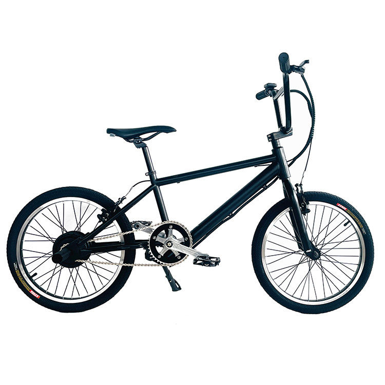 スチールフレーム 20インチ 内電池 24V 250W 10AH リチウム電池 電動BMX ヨーロッパ向け
