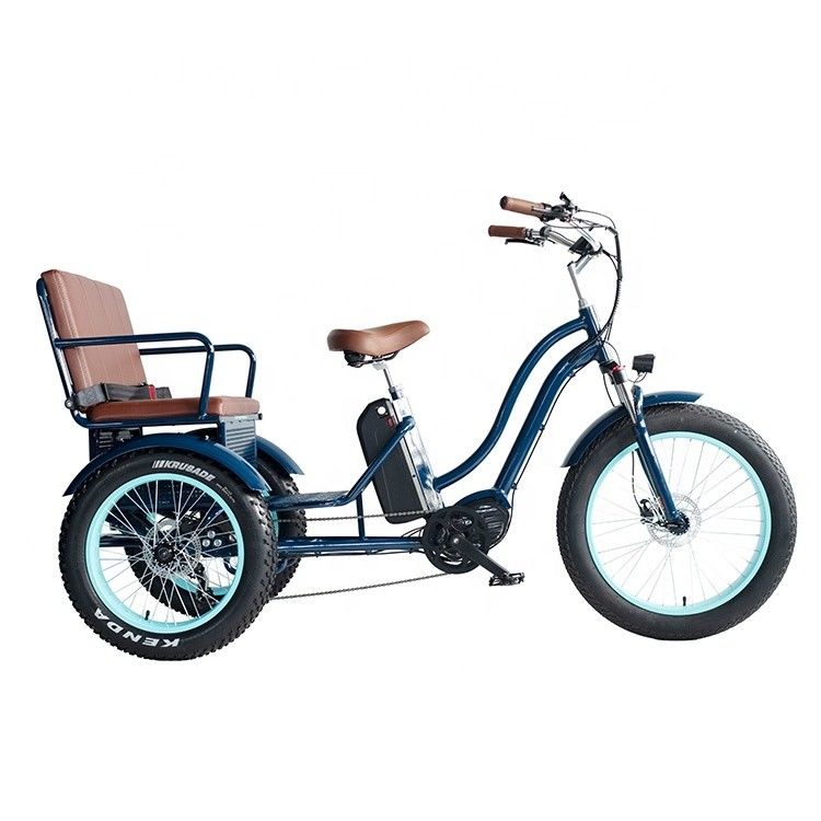 フロントハブモーター 電動リクシャ 48V 750W 17AH リチウム電池とビッグファットタイヤ
